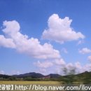 새말농장 이미지