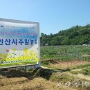 안산농장 이미지