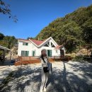 피오르 숲 빌리지 네이버블로그