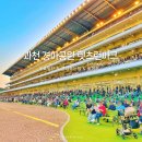 사랑뜰 장애인주간보호소 | 과천 경마공원 렛츠런파크 서울 데이트 무료입장 꿀팁 및 주차 먹거리 시간 포니랜드 피크닉
