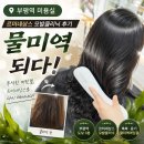 카로레더 | 부평역미용실 헤어나올수없어 르미네상스모발클리닉 물미역 머릿결 후기