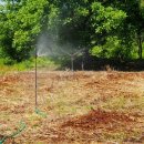 동주 농장 이미지