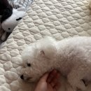 슈퍼맨PC방 | 🙃