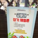 금붕농장 네이버블로그