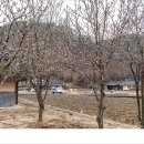 덕천1리 마을회관 이미지