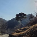 행정사감병기사무소 이미지