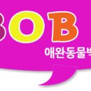 비오비애완용품백화점 네이버블로그