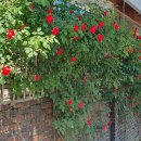 안양6동-1 이미지