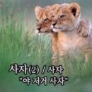 진심목장 이미지