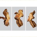 좌수영로 179번길 | 부산돌침대 몸과 마음을 힐링하는 명품가구프라자 건강 침대