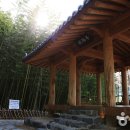 대나무테마정원 화장실 이미지