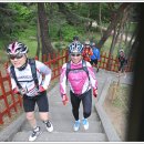 낭만자전거 이미지