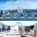 해피투모로우마린 | [공지] 해운대 입주청소 해피투모로우마린 꼼꼼한 청소업체 추천 청소요금 정보