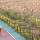 심곡천공원 이미지