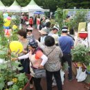 일자산자연공원(도시농업공원) 이미지