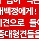 공범농장 이미지