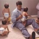 레몬트리 이미지