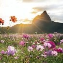 마이산도립공원 일원 이미지