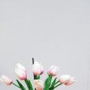 양산성모안과의원 이미지