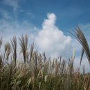 가지산약국 이미지