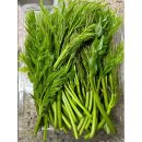 무주농장 이미지