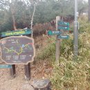 응봉공원1 이미지