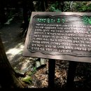 구덕문화공원 티스토리
