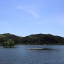 의림지-05 이미지