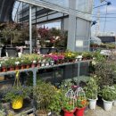 운정농약사 운정농원 이미지