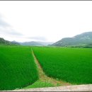 득량주유소 이미지