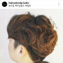 살롱헤일로