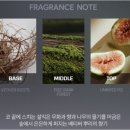 신세계헤어센스