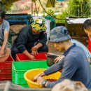 해돋이농장 이미지