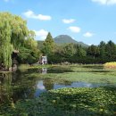 무심교옆 이미지