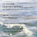 꽃나날 네이버블로그