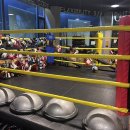 SP복싱무브먼트 이미지