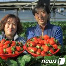 한백베리농원