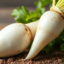 비엠(BM) 이미지