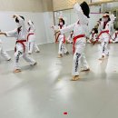 경희대 향남태권도 이미지