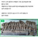 남도수퍼 이미지