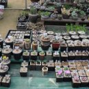 오현농장 이미지