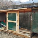 사포농장 이미지