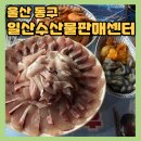 수산물회센터 1층 | 울산동구 일산수산물판매센터(일산지회센터) 첫방어 내돈내산후기!!! +영업/마감시간+초장집추천