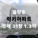 다모아빌딩 서측 도로 | 청주 율량동 럭키아파트 아파트경매 31평 2차 진행물건