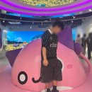 주식회사 프리미엄파티하우스더엘 | [ 국내여행 / 제주도 ] 제주도 서쪽 2박3일 여행후기 (2) / 제주 여행코스 추천