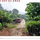 정해농장 이미지