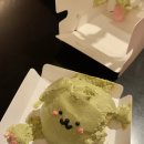 샤브렐라 이미지