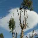 꾼들의 이야기 이미지