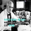 푸른곰팡이 네이버블로그