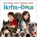 강아지 호텔 이미지